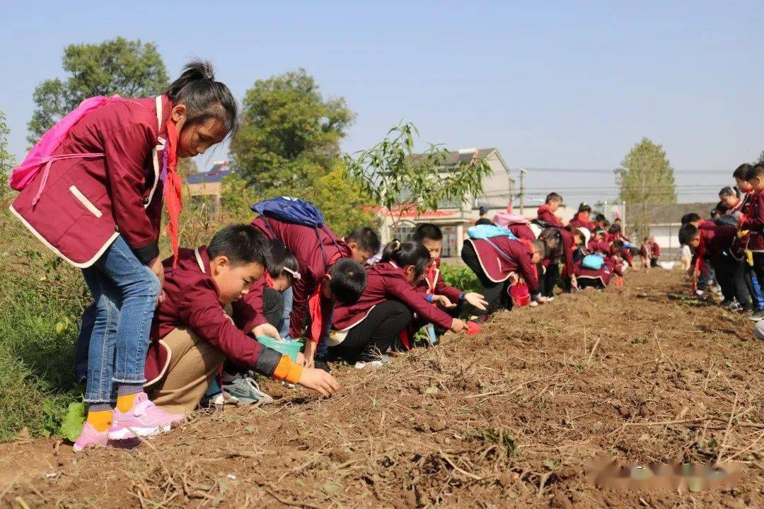 文昌小学这场景,带劲!_劳动