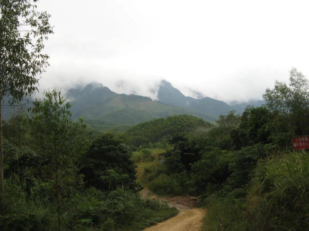 景区地址:钦州市钦北区贵台镇洞利村 门票价格:50元/人 王岗山  王