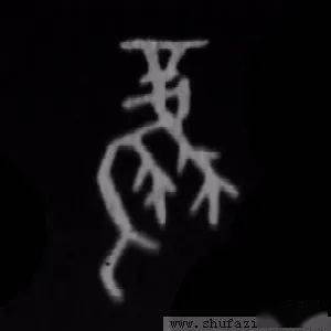 每日一字 | 凤_甲骨文