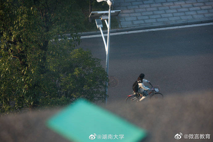 校园|重阳登高赏校园秋景