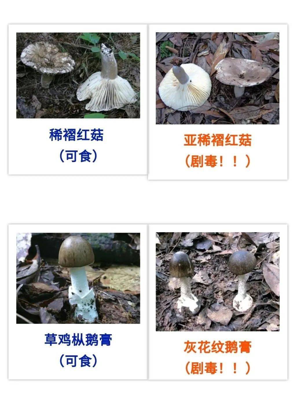 d9686aa40e4644f0bf8750d36c9a702a.jpeg