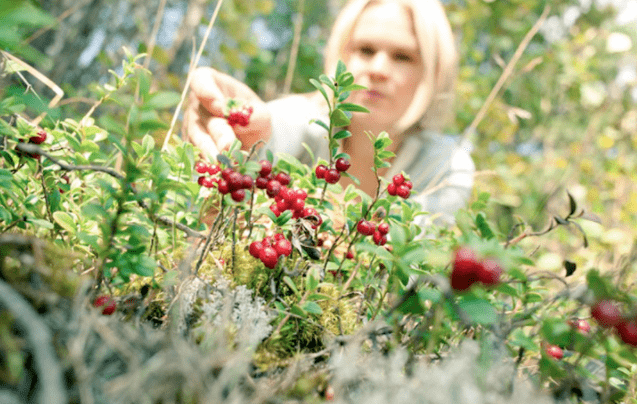 call|常年生活在0下20度！但这些极地女生的皮肤依然嫩到掐出水，都是这款芬兰国宝护肤品的功劳！李佳琦也在疯狂打call！