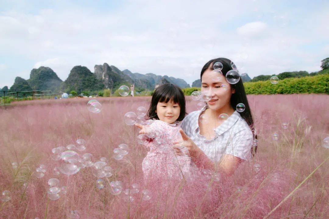 欠下的浪漫粉黛花海如期归还丨英德九龙峰林小镇
