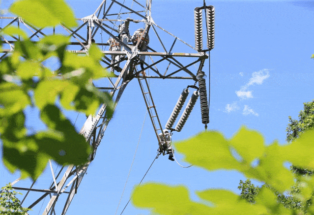 曲振安在本溪市明山区大浓湖村为48米高的220千伏小高线51号塔带电