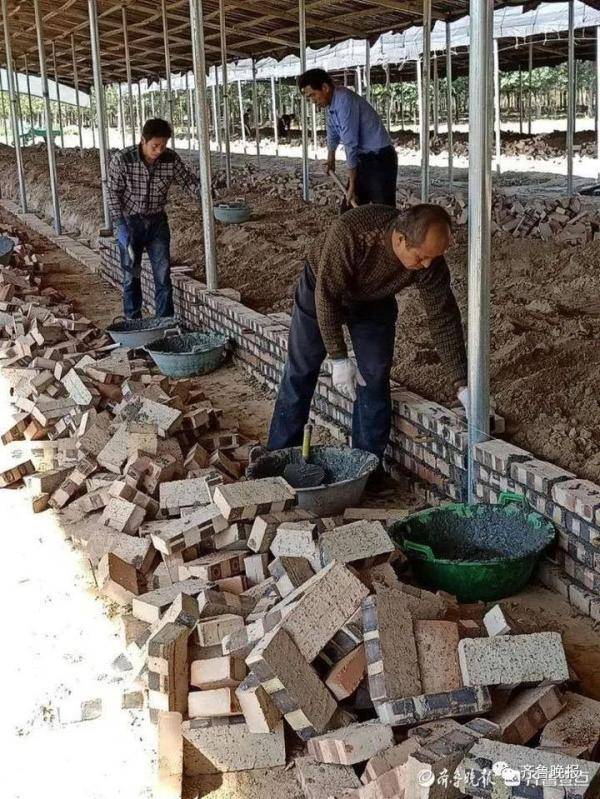 牛忠楠|泪目！24岁研究生救了5个人，以这样的方式……