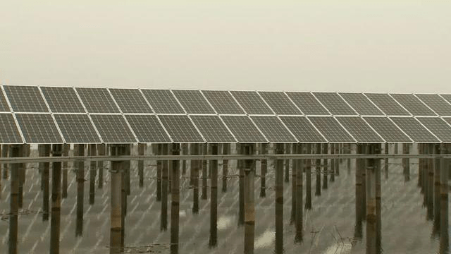 超级通心粉华东站上央视02年销售额5000多万看程佑河的逆袭路