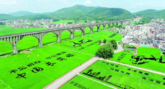 2020广东省罗定市GDP_罗定市各镇地图