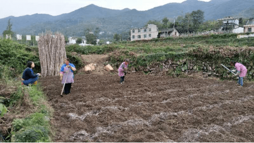 人口普查怎么干活_工地干活图片(2)