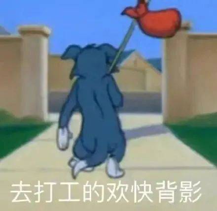 6c611749bbc24a11be927bcd8f4fca53.jpeg
