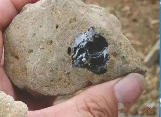 “火山农业”强势走红！科技助力打造新业态