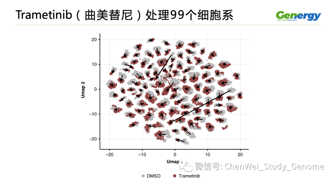 细胞疗理仪是什么原理_雾疗是什么(2)