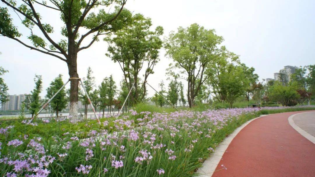 代城市雨洪管理,用海绵城市建设工程手法,通过利用植草沟,下凹式绿地