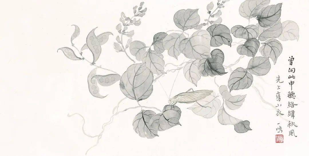 新书快递轻描淡写一画间品读没骨画之美