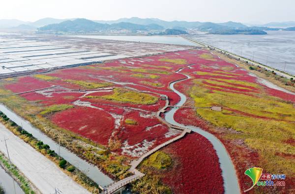 航拍韩国太平盐田滩涂湿地 色彩绚丽宛如油画_全罗南道