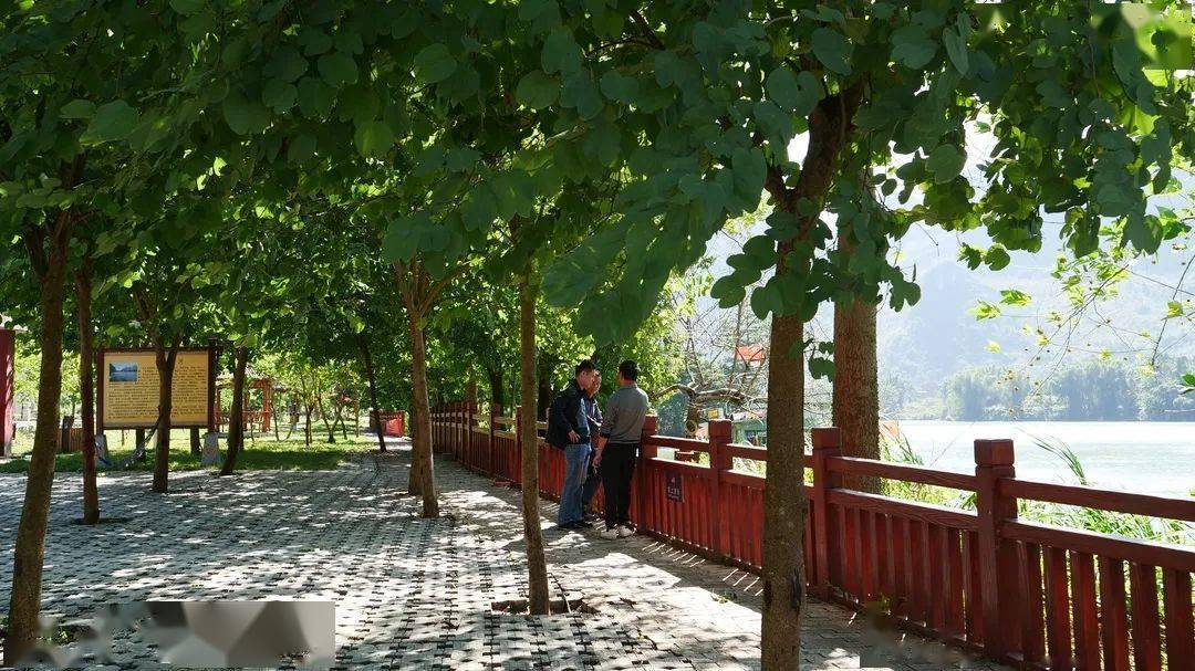 忻城红渡镇人口_忻城红渡镇教育园区图(2)