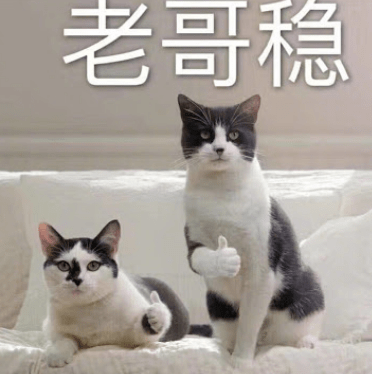 时候|被闭口封印的神仙颜值,是时候解开了......