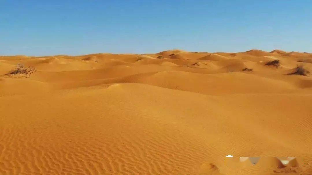 【玩转地理】热带沙漠气候是如何形成的?世界上最美的