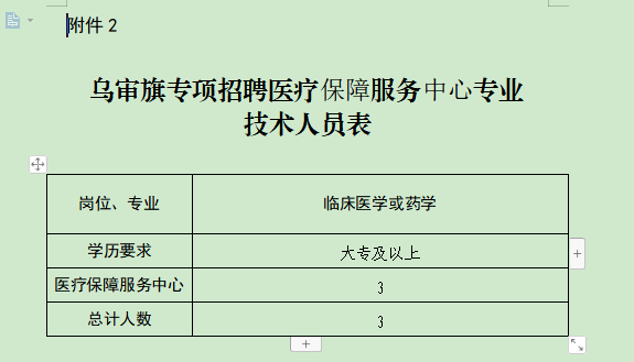 乌审旗招聘_2018鄂尔多斯乌审旗教师招聘考试报考条件(2)