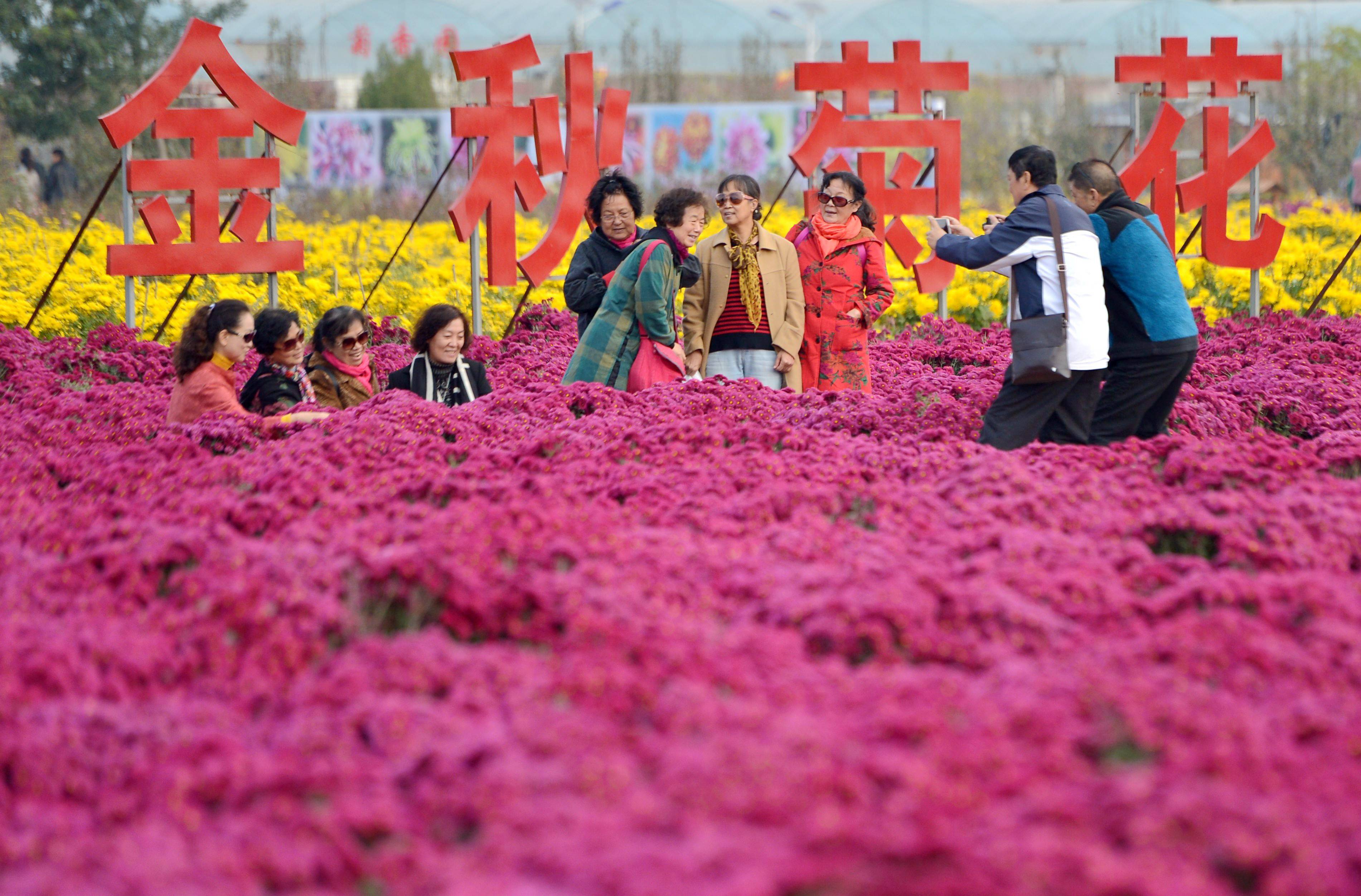 2020年肥乡区gdp_2020年最美手机壁纸