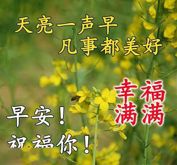 2020新版温馨的早上好漂亮鲜花动态图片,很有创意不用