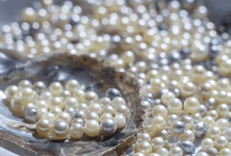 铁山人均gdp_铁山坪森林公园(3)