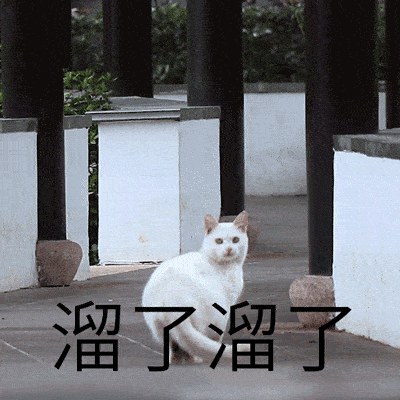 2020年梅州五华gdp_五华球王李惠堂图片