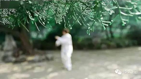 什么是沉肩拔背 c5db1d8e1c644ea188043e07aefda443.jpeg