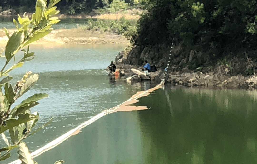 岳阳市水源地,铁山水库,金凤桥水库评估出炉