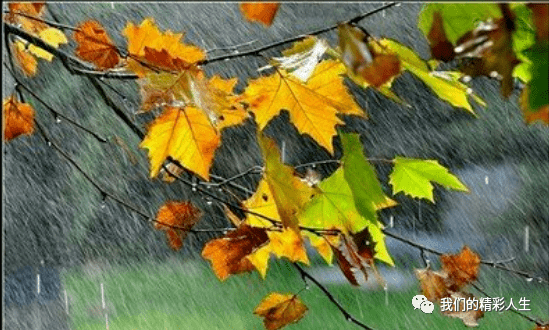 f258b4561dac4ca08e26ec8ef8c24edd.png