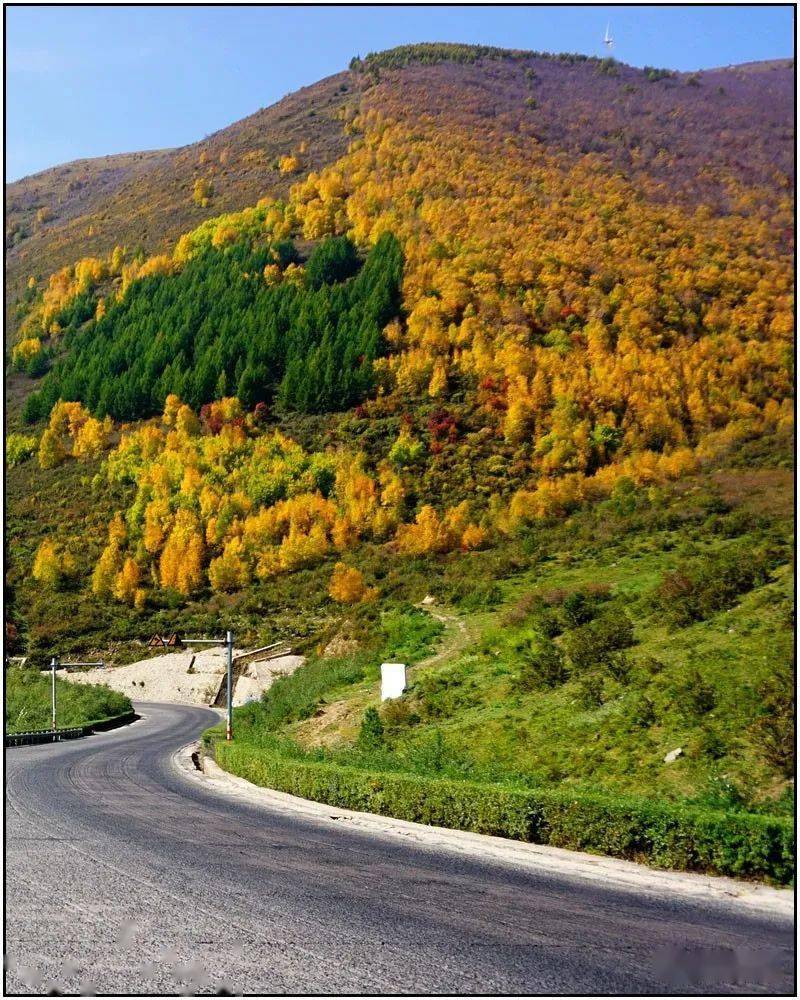 有种秋色叫做山路弯弯