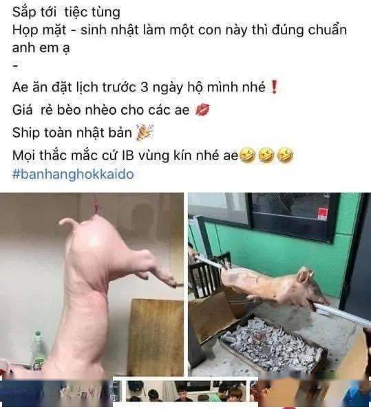 越南捌卖人口_越南战后怎么恢复人口