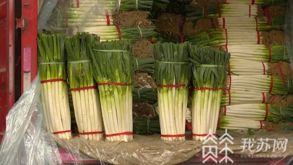 肉类|葱姜价格上涨，肉类水产品价格持续下行！