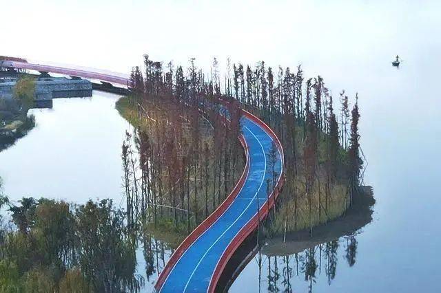 时尚|半个娱乐圈都来了！成都凭什么？