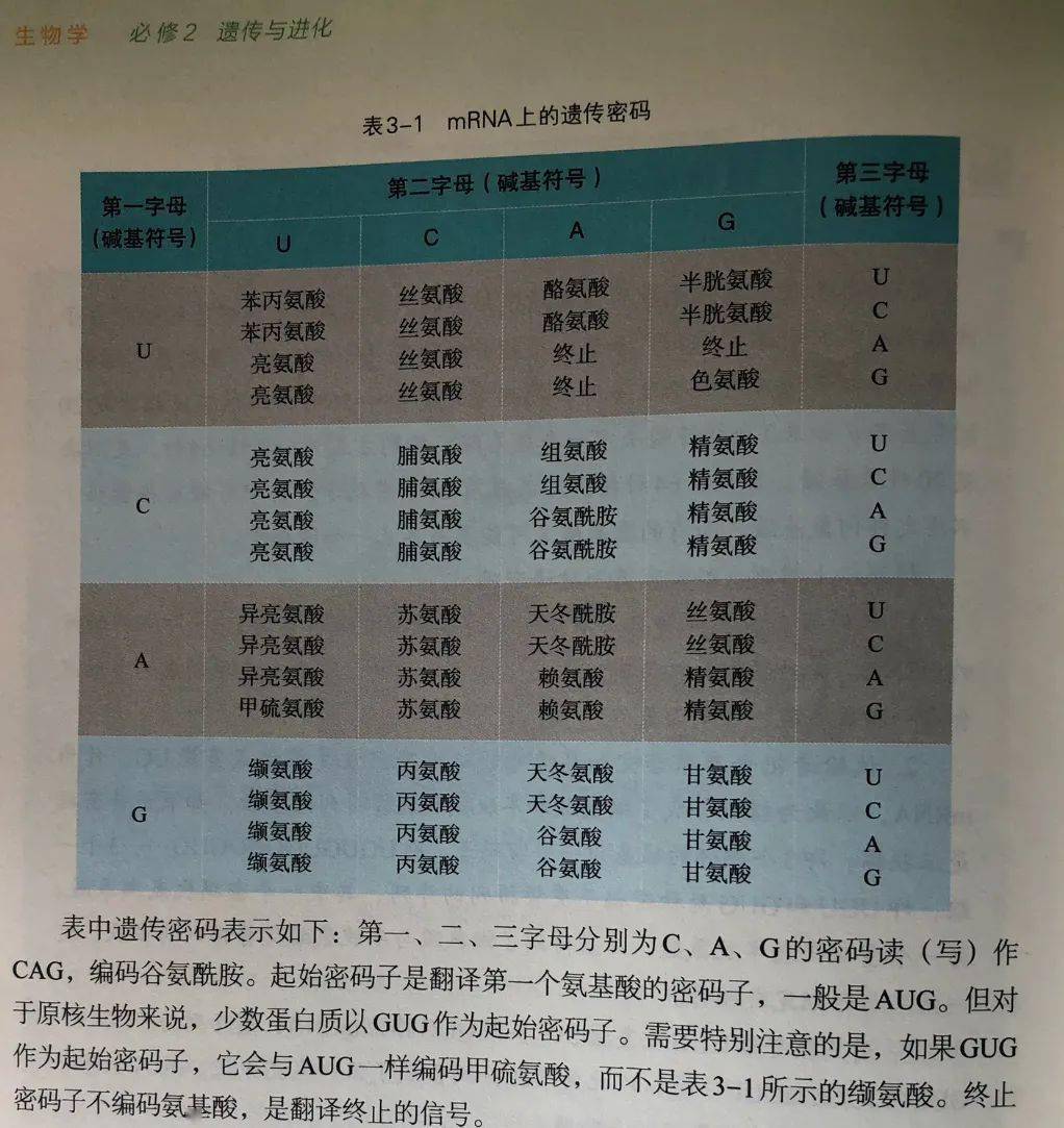 事实上,在原核生物中,除了aug外,gug和uug也可以作为起始密码子.