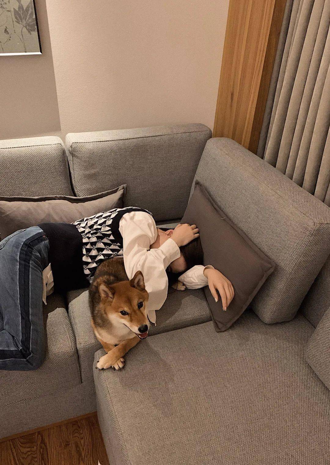 植物|熬夜新救星｜分享我最近的生活和近期在用的肌肤“吃素”法！