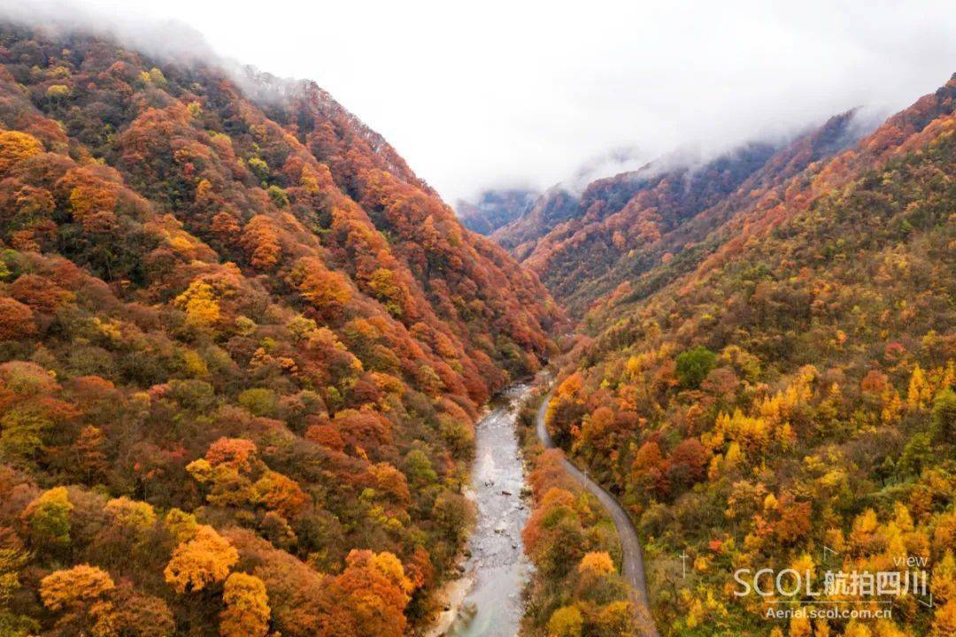 寻美中国红叶第一山!巴中光雾山进入最佳观赏期_景区