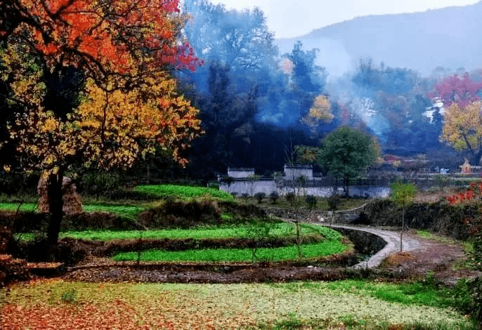 在距宏村2km的古村落,邂逅最地道的江南秋色,迷人的田园风光画卷!