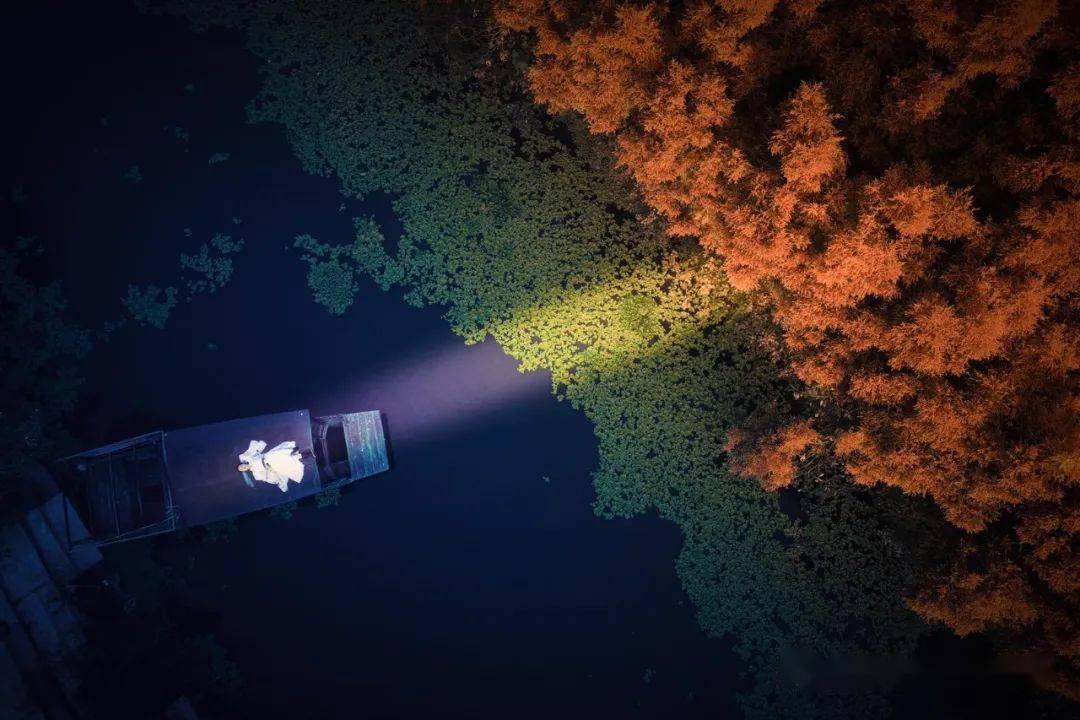 短发|倪妮的新发型太美了！技术分析：什么样的人适合港风短发？