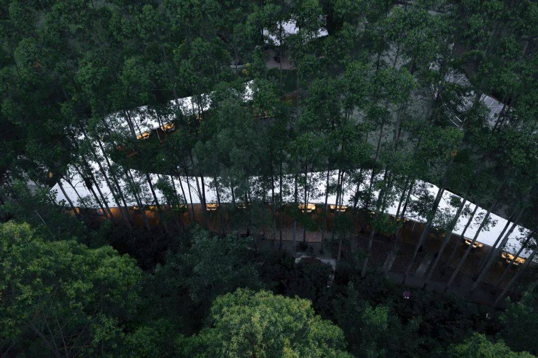 从大兴机场到“山之厕”,这些获奖建筑引领了中国潮流