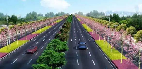 双向六车道,设计速度 50km/h
