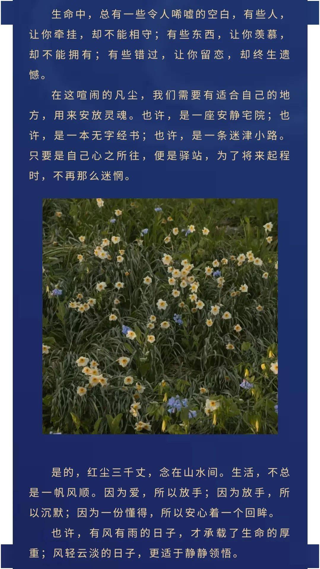 生命之树歌谱 b33b196625e146f5b7bb6dfb80f8fe72.jpeg