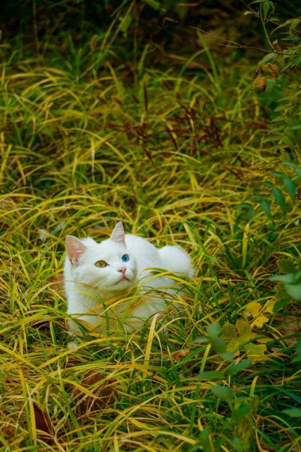 秋景大|高校秋景大赏丨想在春天种下一片色彩 在秋天送给你
