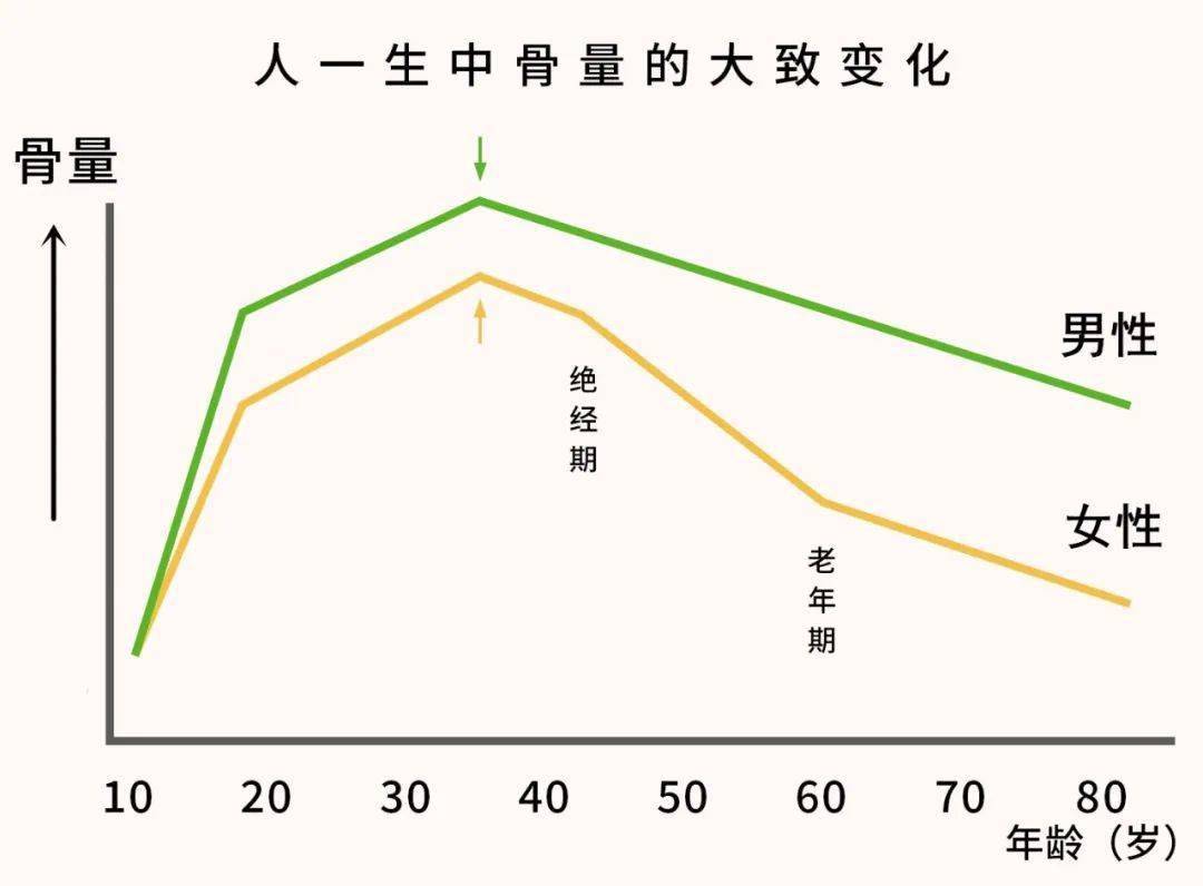 小编在之前的文章中说过:女性一生中发生骨质疏松性骨折的危险性是