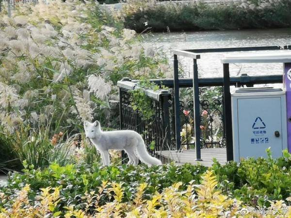 秋景大|高校秋景大赏丨想在春天种下一片色彩 在秋天送给你