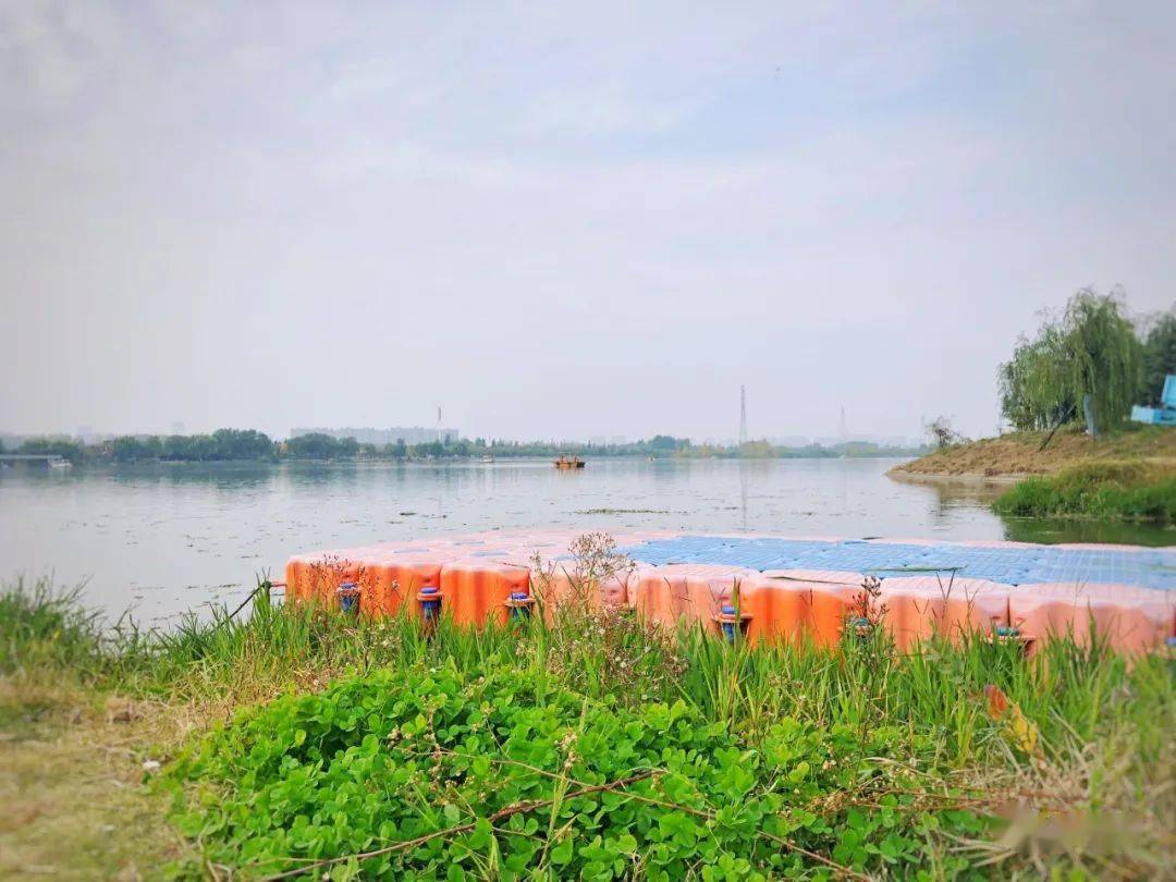 1,若想看粉黛草花海,建议您导航直接搜"  伊水游园阳光沙滩",附近就