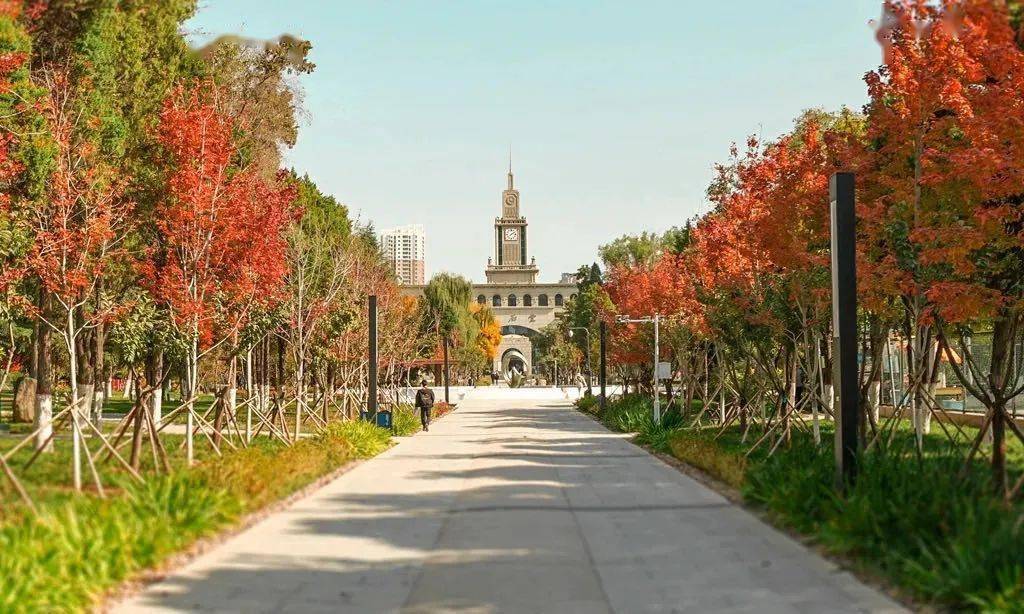 官宣|高校“官宣”秋景来了，有你的校园记忆吗？