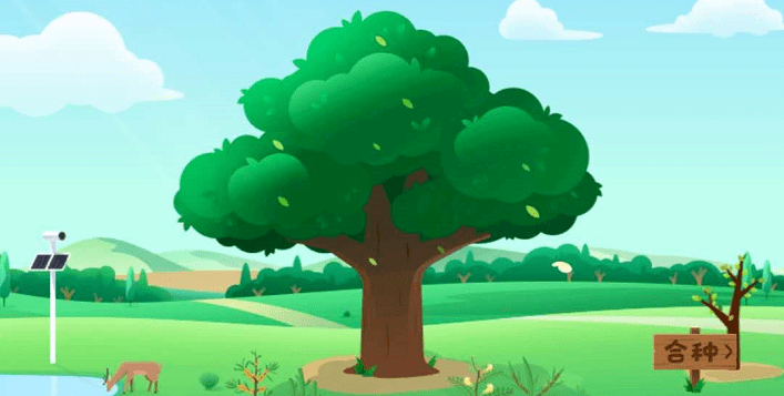 树是怎么积累能量的 079ea8f547f3435d94b7ddcdd3266eff.png