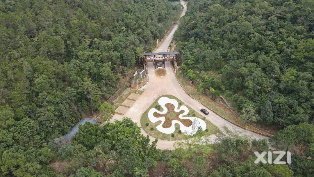 梁化国家森林公园大改造!要建停车区域和大广场_惠东