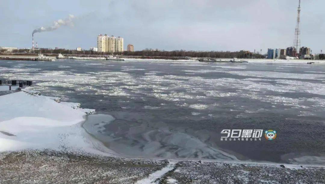 美!雪后的黑龙江跑冰排了