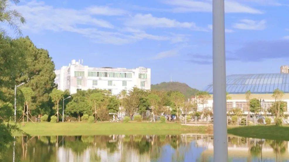 话题互动 | 玉师,有句情话要对你说